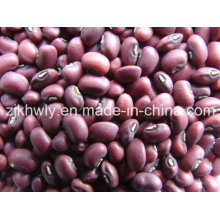 Rote Cowpeas